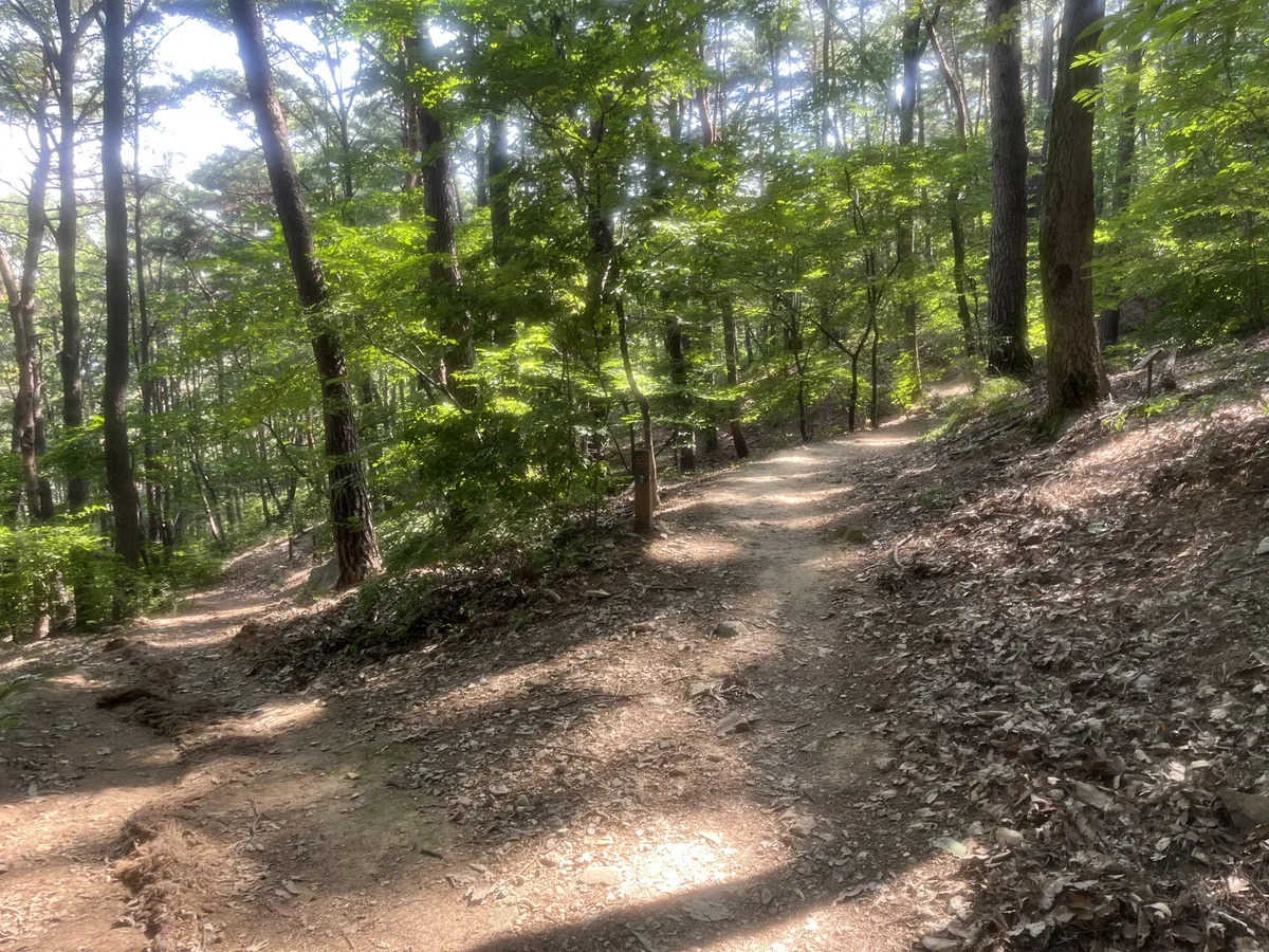 앞산 케이블카 밑 갈림길