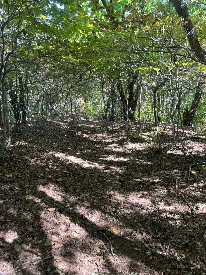 청량산 오마도터널 가는길 청량산 오마도터널 가는길
