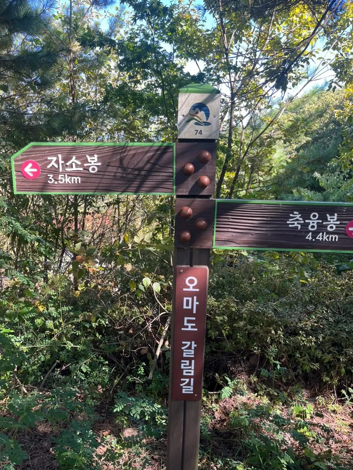 청량산 오마도 갈림길 청량산 오마도 갈림길