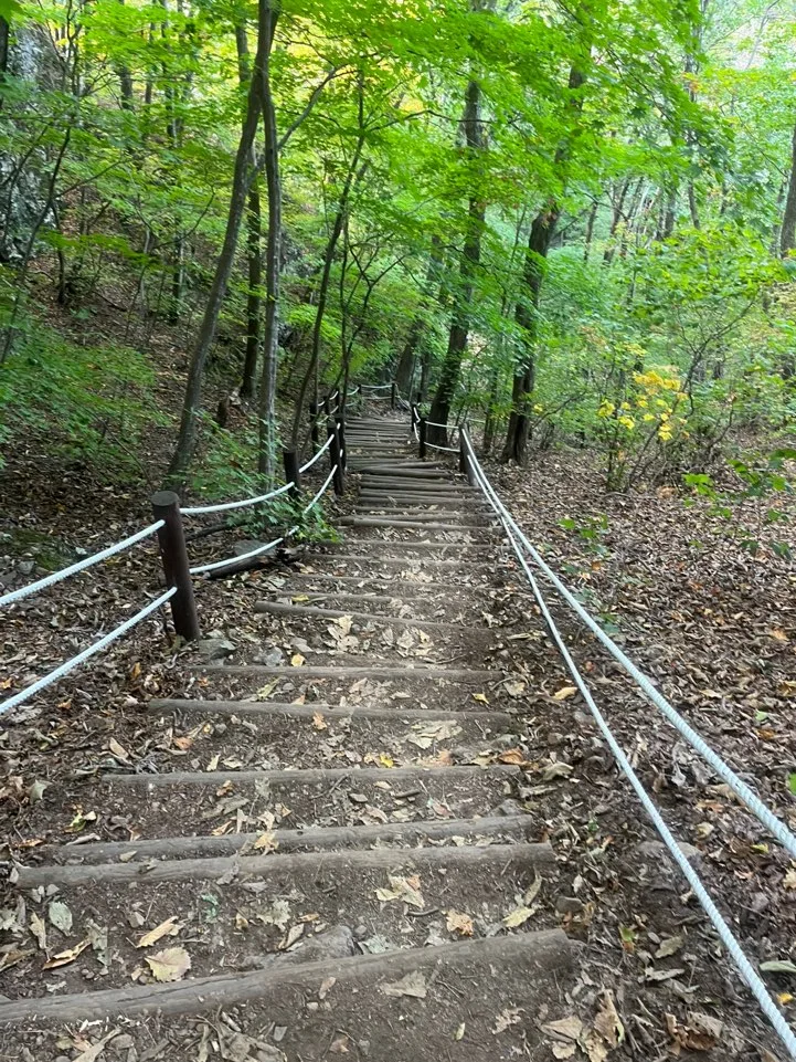 청량산 장인봉 가는 계단 청량산 장인봉 가는 계단