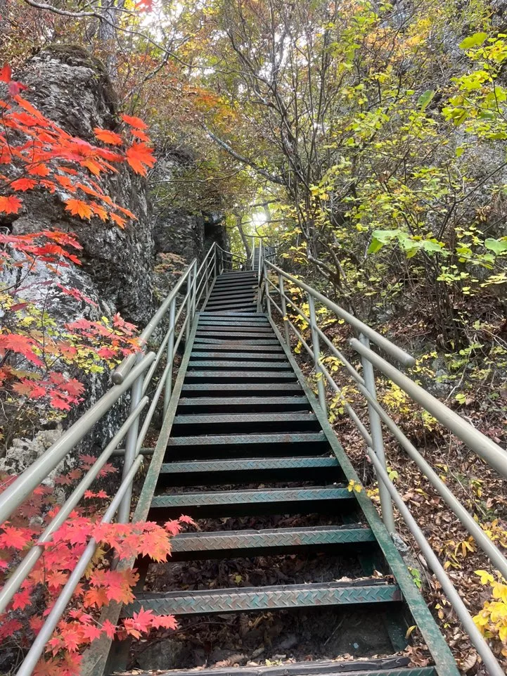 청량산 장인봉 가는 계단2 청량산 장인봉 가는 계단2