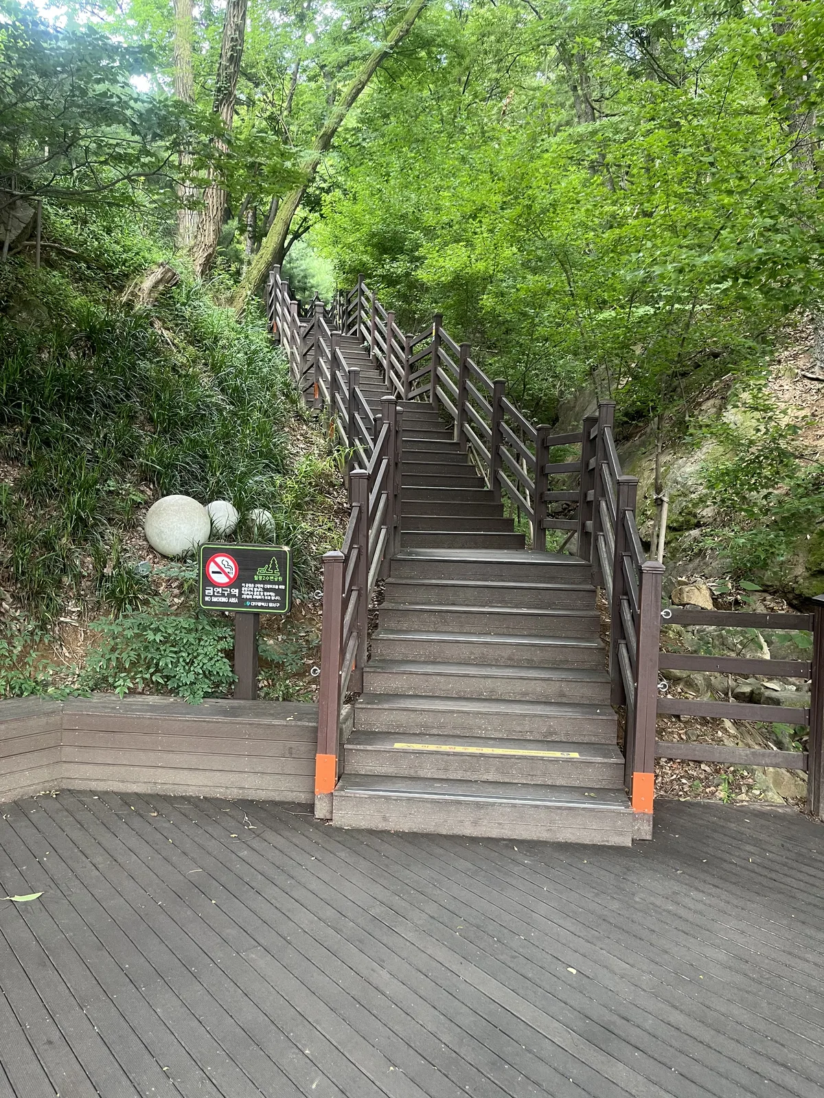 월광수변공원 나무계단