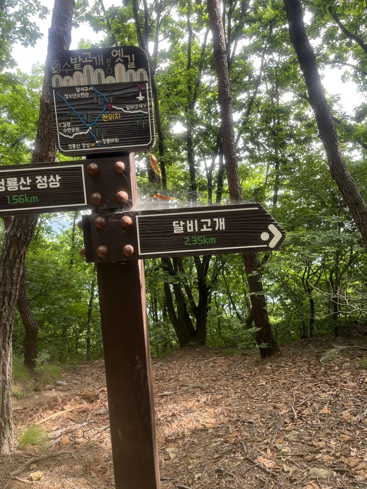 달비고개 이정표
