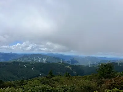 다이나핏 태백 50K 대회 후기 | 첫 50K 트레일러닝 완주