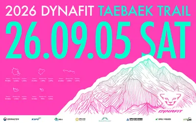 다이나핏 태백 트레일 50K 코스 분석 | 50.52km·누적 상승 2,430m