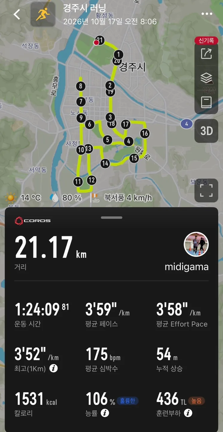 gyeongju-marathon-06.webp