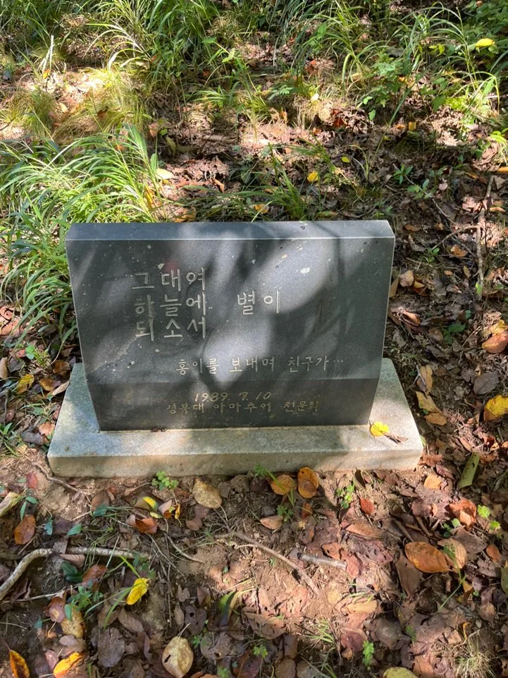 화왕산 천문관측소 옆 비석 화왕산 천문관측소 옆 비석