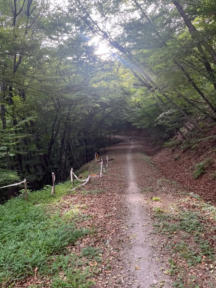 korearun_imdo50k 임도길 korearun_imdo50k 임도길