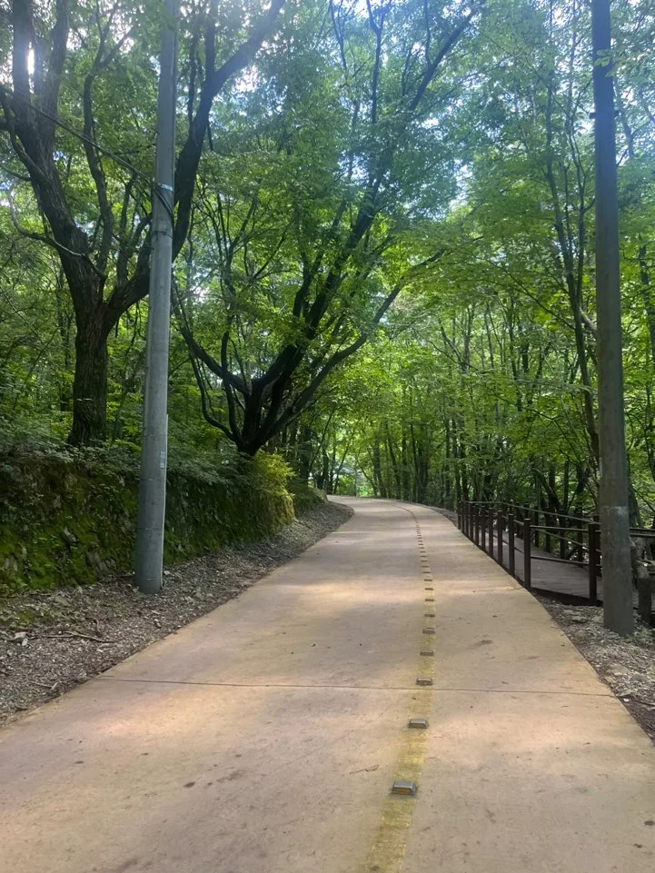 덕유산 백양사 가는길