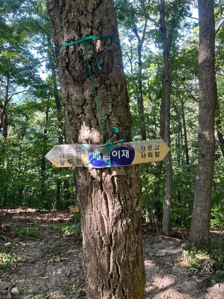 배넘이고개 배넘이고개