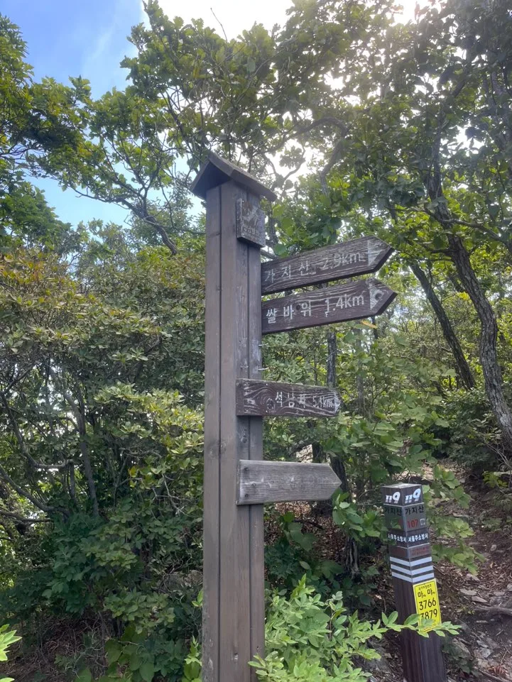 unmunsan_gajisan_trailrun_016.jpeg