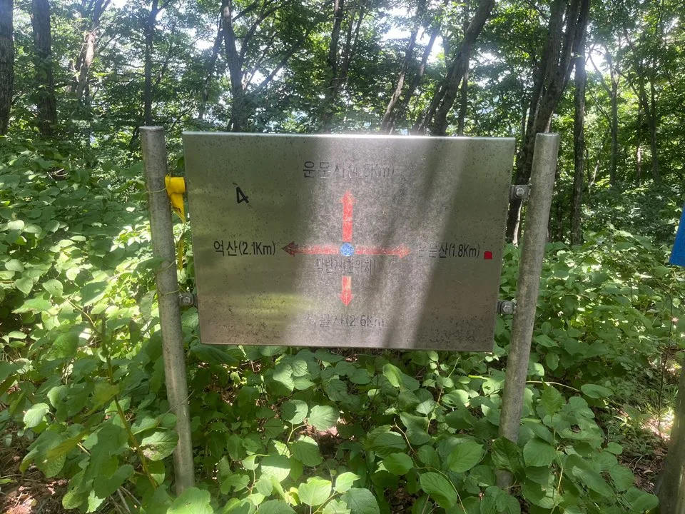 운문산 떡밭재 운문산 떡밭재