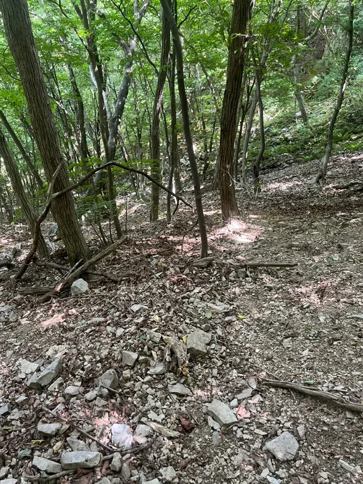 떡밭재에서 운문사 가는길 떡밭재에서 운문사 가는길